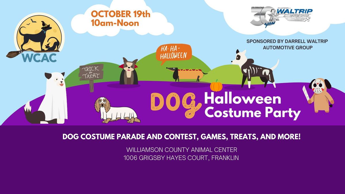 Dog Halloween Costume Party Flyer